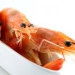 antibiotic use in seafood/shrimp
